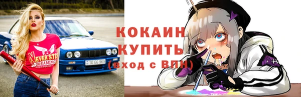 тгк Новодвинск