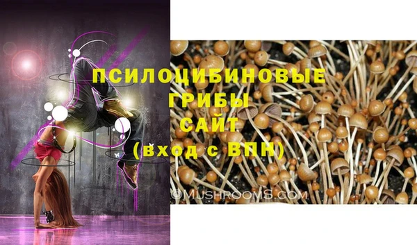 альфа пвп Нефтегорск